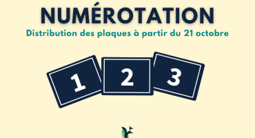 Numérotation